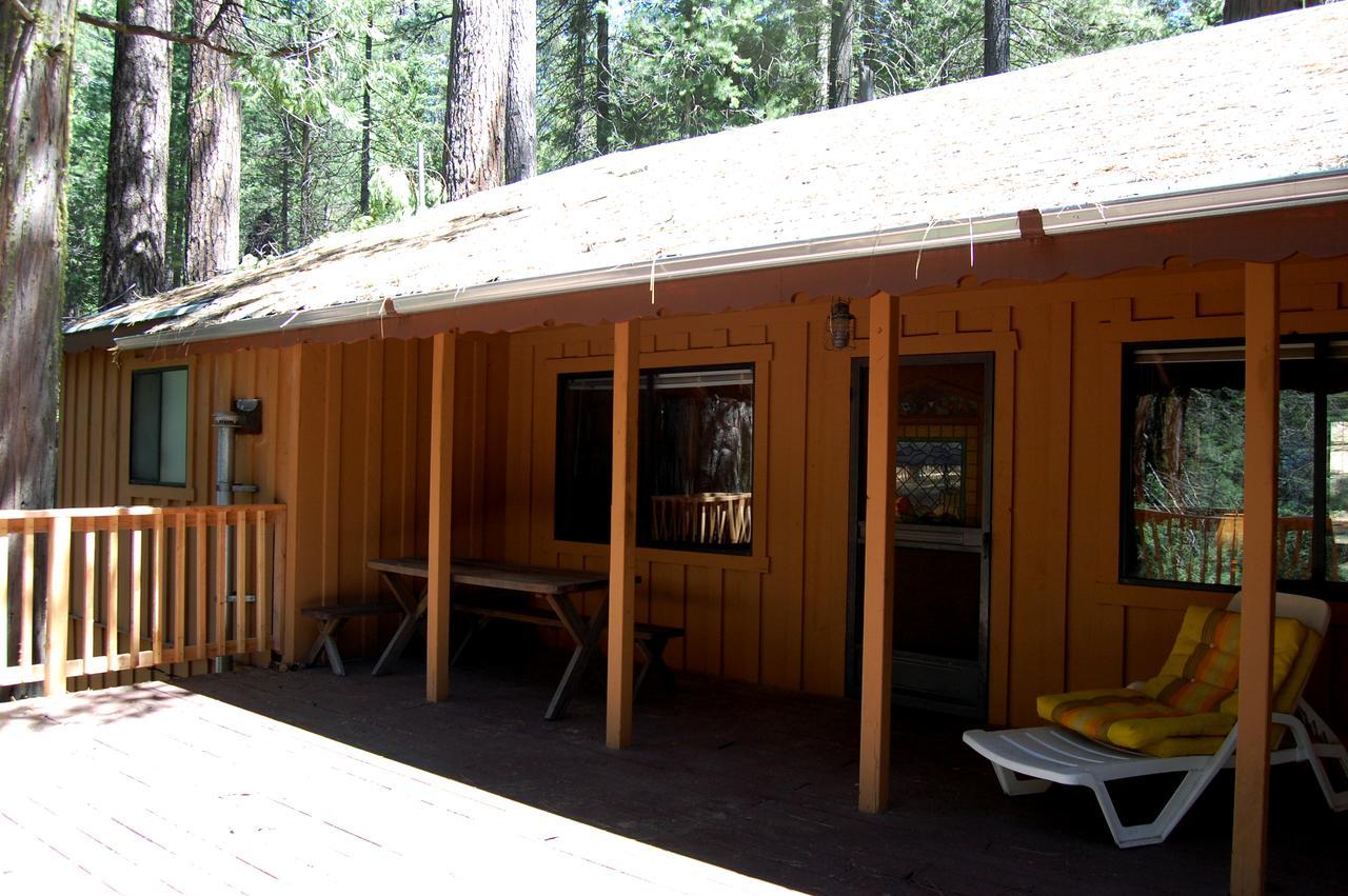 9S Pine Cabin South Wawona Eksteriør billede